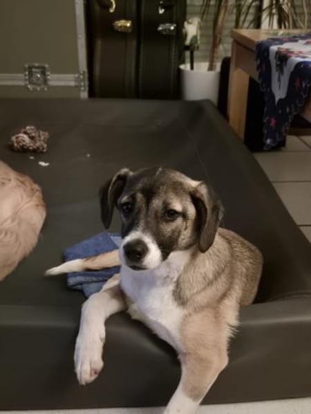 Karina - sanft und neugierig (C)