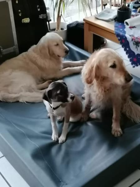 Karina - sanft und neugierig (C)