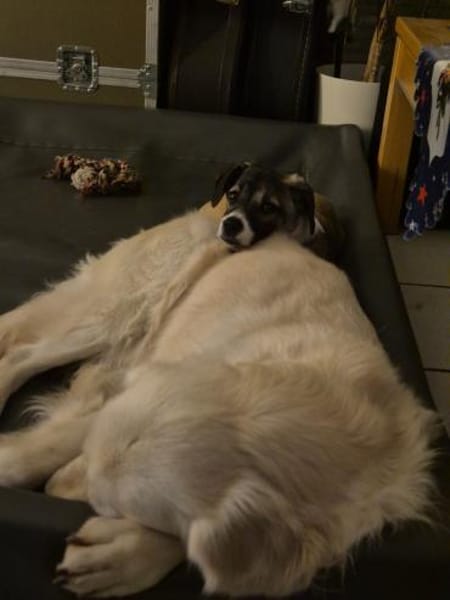 Karina - sanft und neugierig (C)