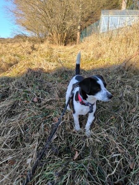 SMiLLA❤wartet in Westerheim auf dich