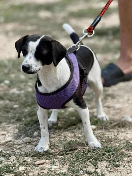 SMiLLA❤wartet in Westerheim auf dich