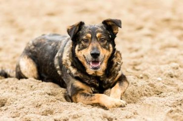 MARJAANI* Charmante Persönlichkeit