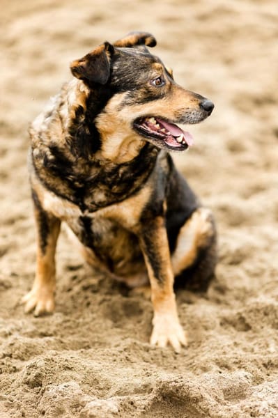 MARJAANI* Charmante Persönlichkeit