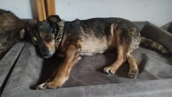 MARJAANI* Charmante Persönlichkeit