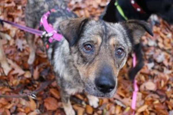 MARJAANI* Charmante Persönlichkeit