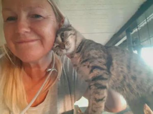 Lora, hübsches Tigerkätzchen, ca. 7 M