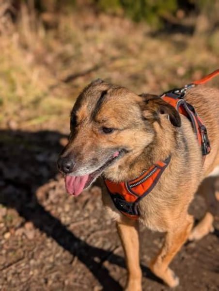 Heidi sucht ihren Platz