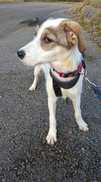 Lilly ein super liebes Mädchen