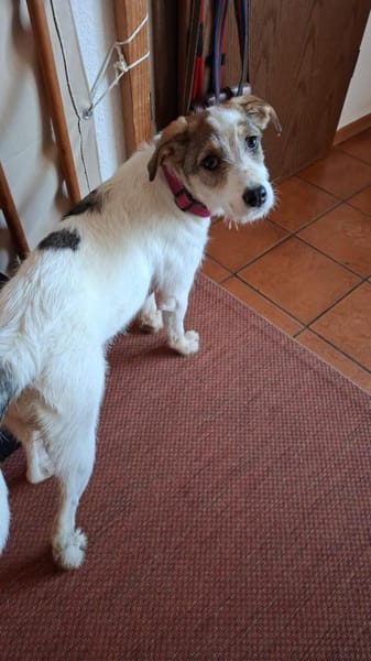 Lilly ein super liebes Mädchen