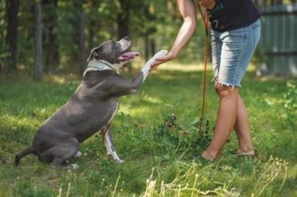 Tony, Kraftpaket su. Kenner