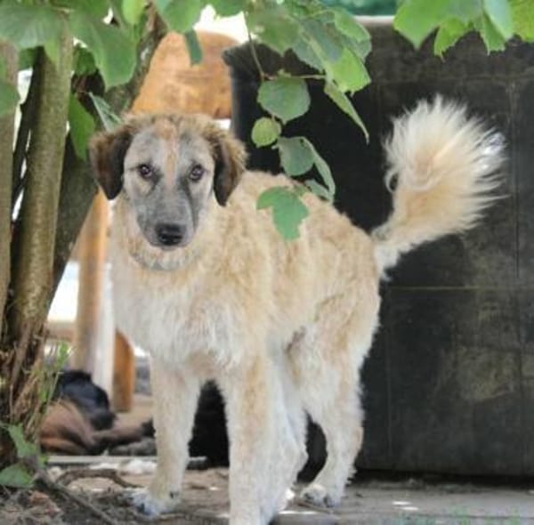 Cora, Man muss nicht perfekt sein ❤