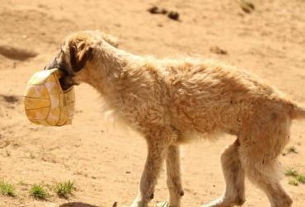 Cora, Man muss nicht perfekt sein ❤