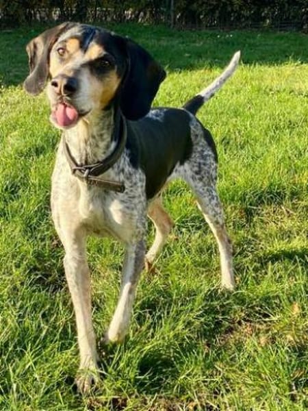 Benson 3 (zur Pflege in 06889 Luthersta)