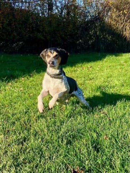 Benson 3 (zur Pflege in 06889 Luthersta)