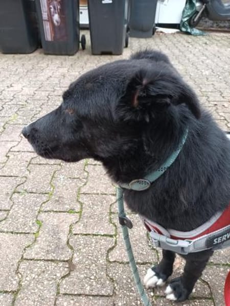 Tikva PLZ 52... Pflegestelle