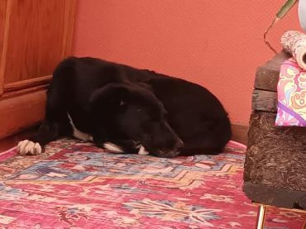 Tikva PLZ 52... Pflegestelle