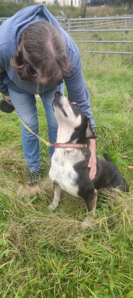 Kyro - fröhlich und aktiv