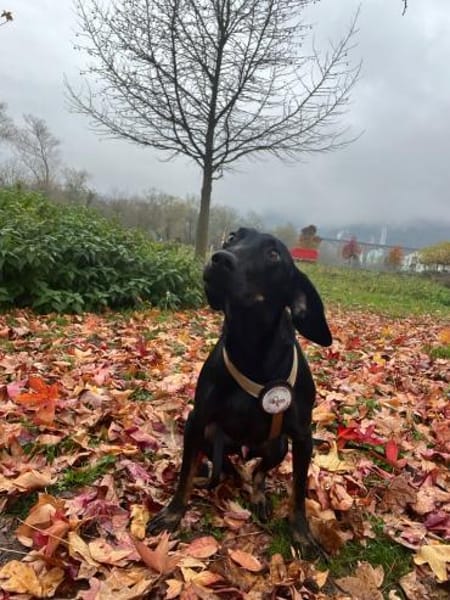 💙Cormac💙 such sein Zuhause