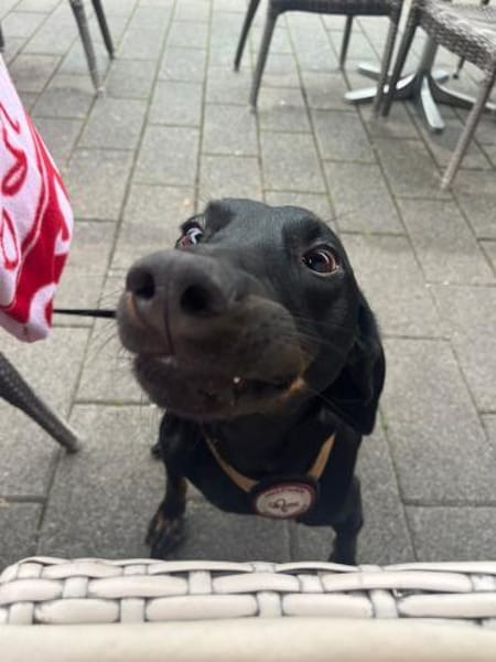 💙Cormac💙 such sein Zuhause