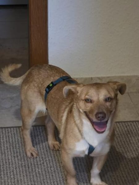 Andrea - ein Sonnenschein (I)