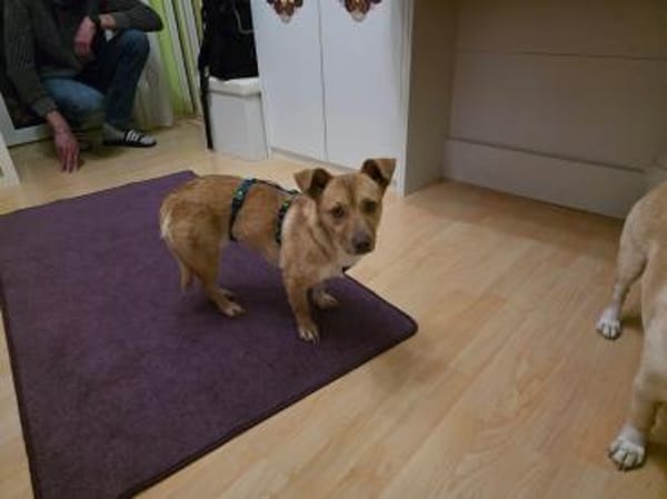 Andrea - ein Sonnenschein (I)