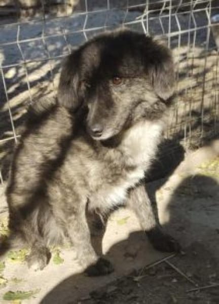 Marina 47 cm (Pflegestelle)