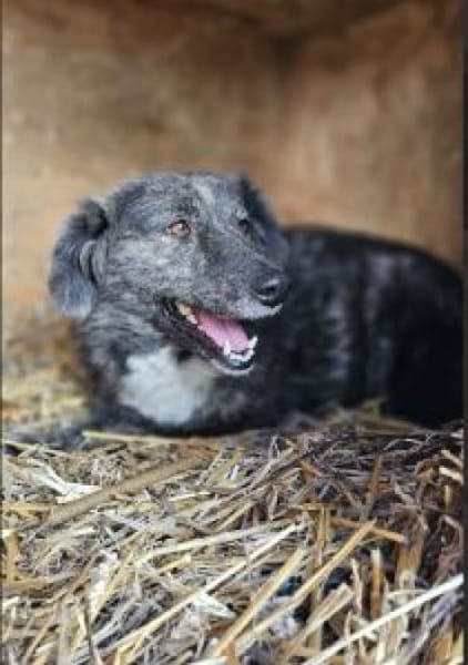 Marina 47 cm (Pflegestelle)