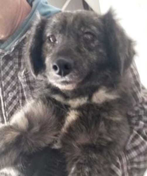 Marina 47 cm (Pflegestelle)