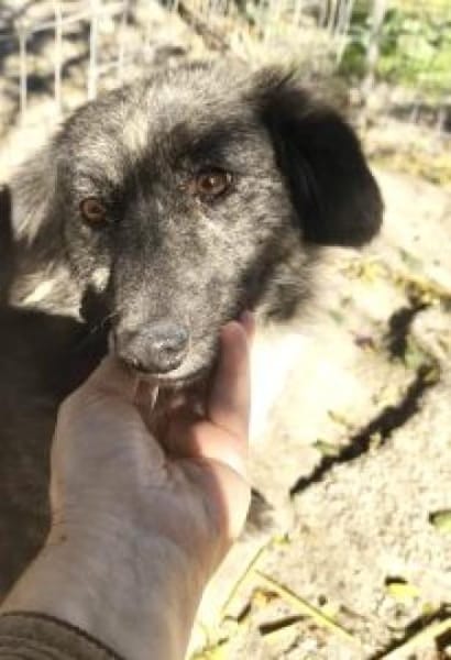 Marina 47 cm (Pflegestelle)