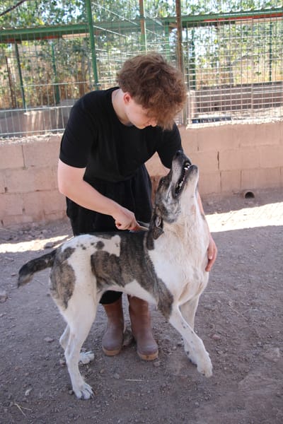 JOTA  (Puertollano)