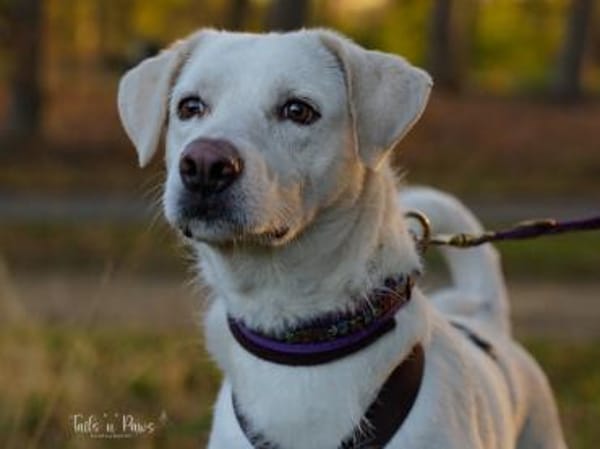 Fedro sucht erfahrene Menschen