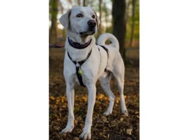 Fedro sucht erfahrene Menschen