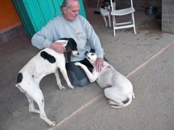 Amarena hat etwas Glück verdient