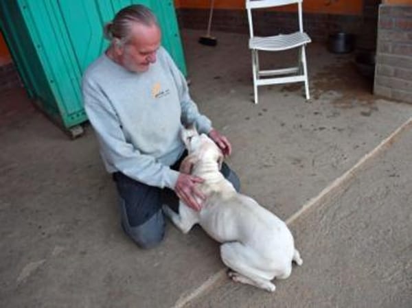 Amarena hat etwas Glück verdient