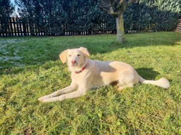 Queen sucht aktives Zuhause