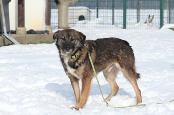 Juli sucht liebevolle Familie...