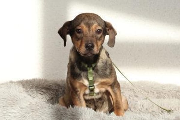 Mel möchte mit Dir die Welt entdecken.