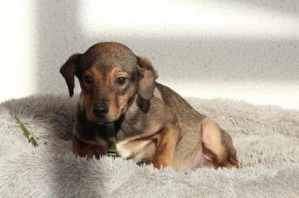 Mel möchte mit Dir die Welt entdecken.