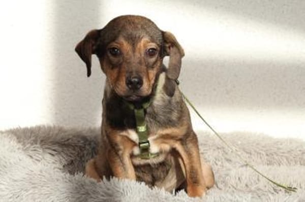 Mel möchte mit Dir die Welt entdecken.