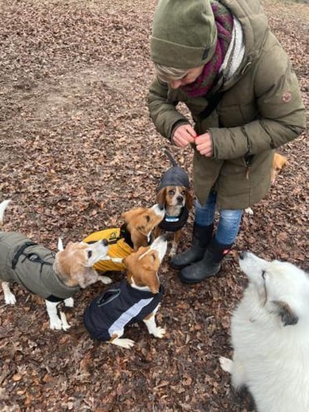 Gatinha - Zuhause gesucht