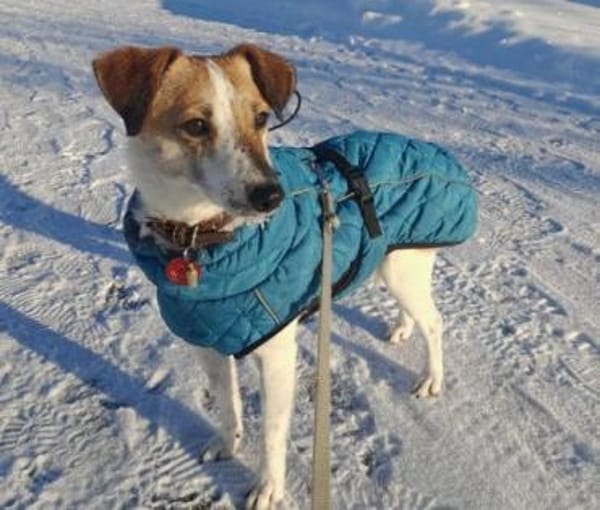 MIRKA sucht Geborgenheit