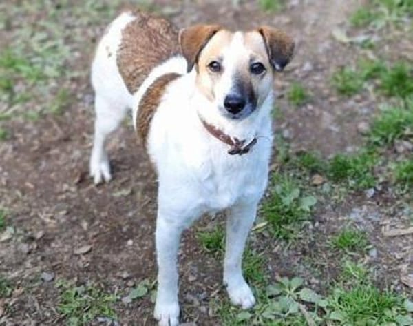 MIRKA sucht Geborgenheit