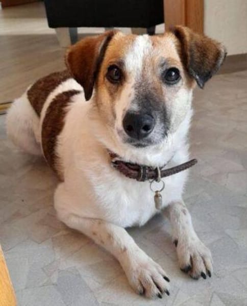 MIRKA sucht Geborgenheit