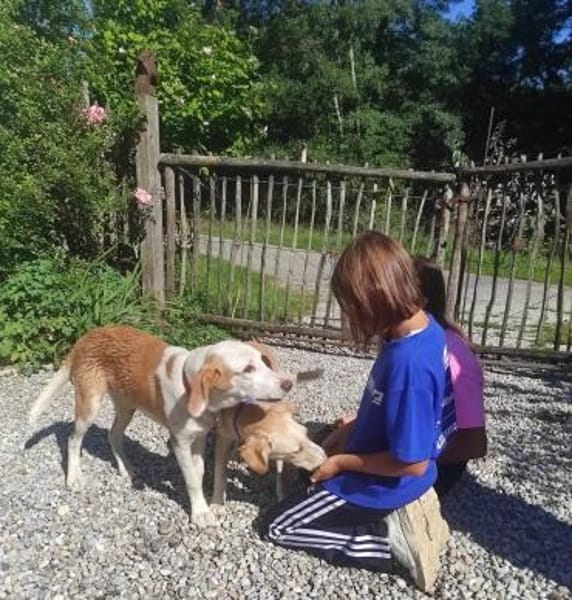 Cappucino 💙💙💙 sucht Happy-Home