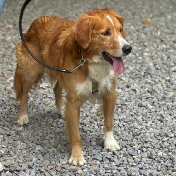 Moritz sucht seine Menschen...