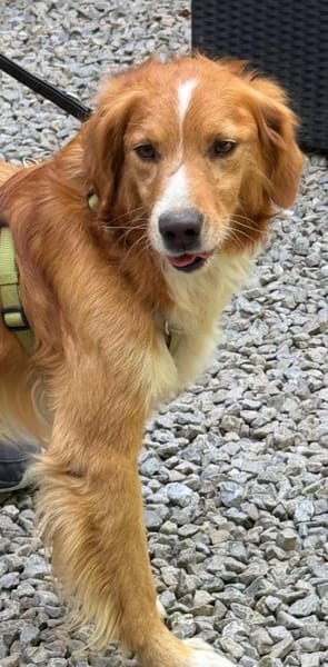 Moritz sucht seine Menschen...