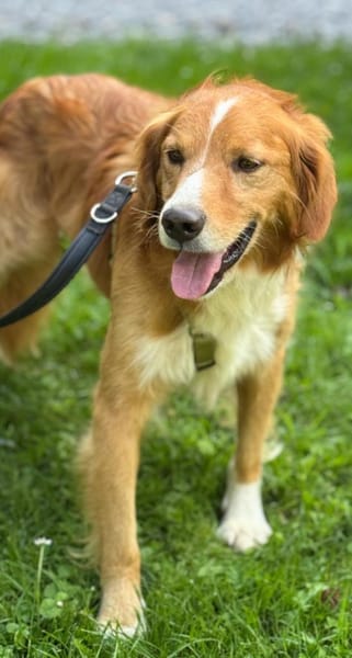 Moritz sucht seine Menschen...