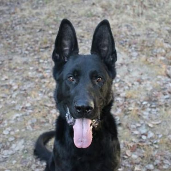 Timo su. Menschen mit Geduld