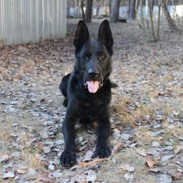 Timo su. Menschen mit Geduld