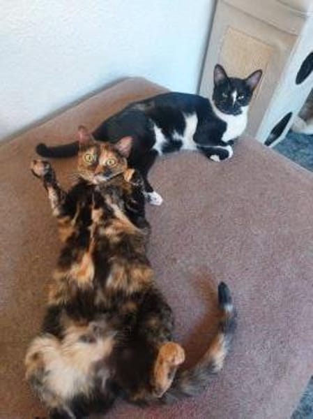 Lustige Penny bei München (ALO)